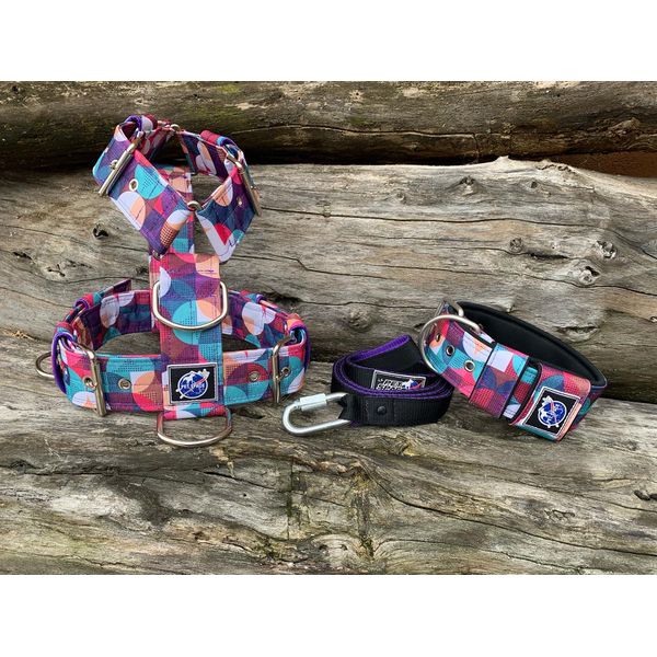 KIT PEITORAL UNIVERSAL, COLEIRA SUPER CONFORT E GUIA DE PASSEIO cor círculos roxo