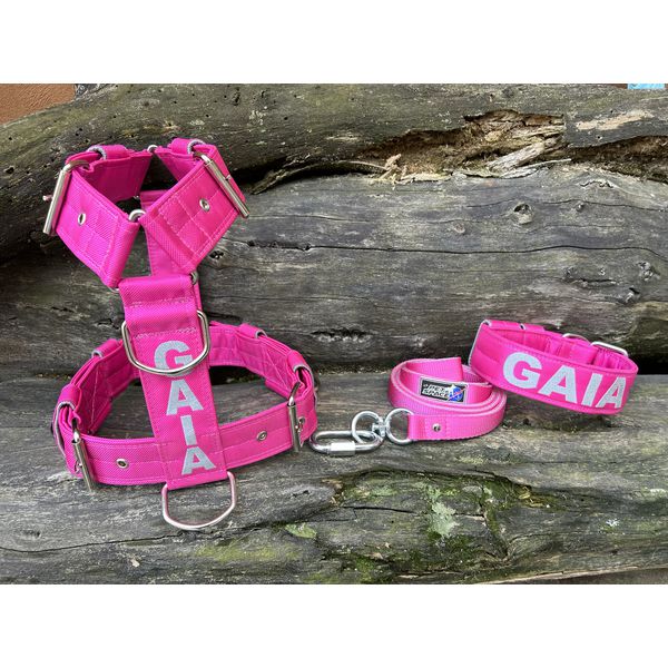 KIT PEITORAL PREMIUM PERSONALIZADO, COLEIRA PERSONALIZADA E GUIA DE PASSEIO rosa com prata