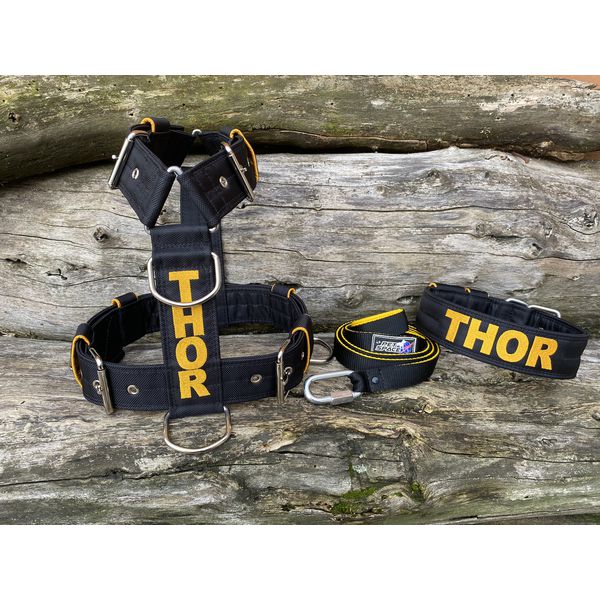 KIT PEITORAL PREMIUM PERSONALIZADO, COLEIRA PERSONALIZADA E GUIA DE PASSEIO preto e amarelo