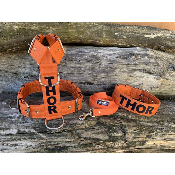 KIT PEITORAL PREMIUM PERSONALIZADO, COLEIRA PERSONALIZADA E GUIA DE PASSEIO laranja e preto