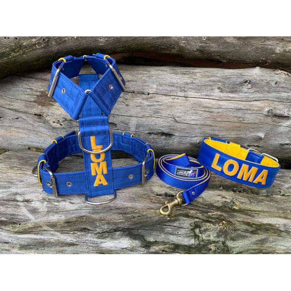 KIT PEITORAL PREMIUM PERSONALIZADO, COLEIRA PERSONALIZADA COURO SINTÉTICO E GUIA DE PASSEIO azul e amarelo