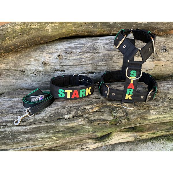 KIT PEITORAL PREMIUM PERSONALIZADO, COLEIRA PERSONALIZADA E GUIA DE PASSEIO preto e reggae