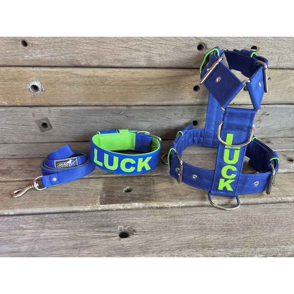 KIT PEITORAL PREMIUM PERSONALIZADO, COLEIRA PERSONALIZADA COURO SINTÉTICO E GUIA DE PASSEIO azul e verde fluorescente
