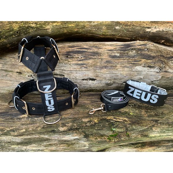 KIT PEITORAL PERSONALIZADO POLIÉSTER COMUM, COLEIRA PERSONALIZADA COURO SINTÉTICO E GUIA DE PASSEIO preto e prata