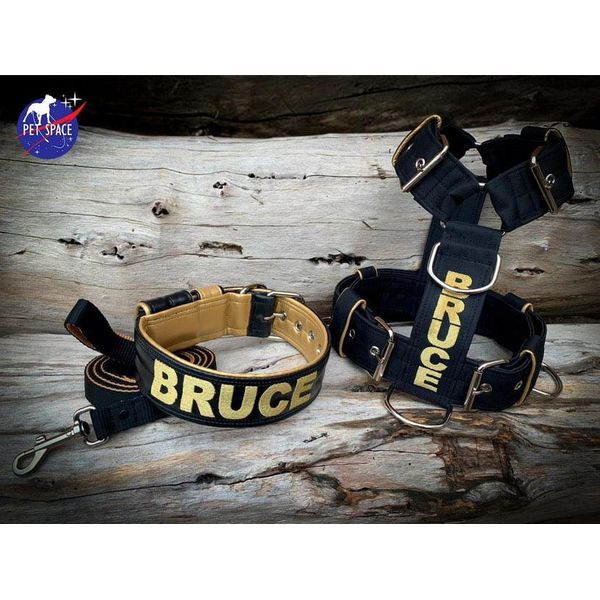 KIT PEITORAL PERSONALIZADO POLIÉSTER COMUM, COLEIRA PERSONALIZADA COURO SINTÉTICO E GUIA DE PASSEIO preto e dourado