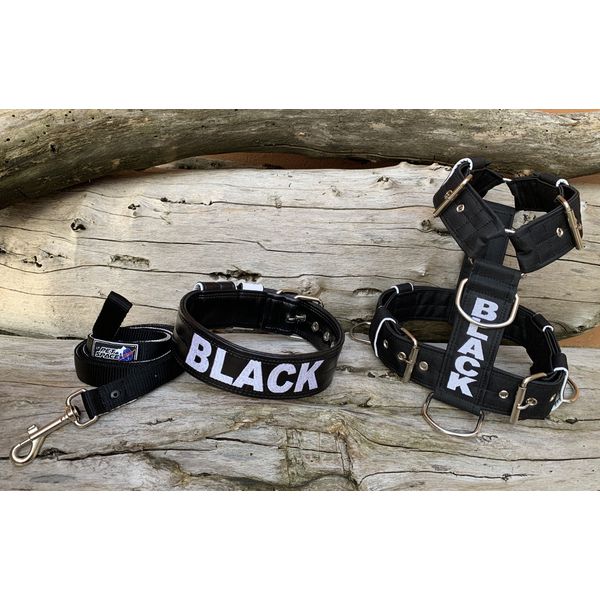 KIT PEITORAL PERSONALIZADO POLIÉSTER COMUM, COLEIRA PERSONALIZADA COURO SINTÉTICO E GUIA DE PASSEIO preto e branco