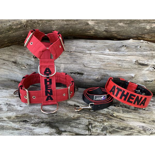 KIT PEITORAL PERSONALIZADO POLIÉSTER COMUM, COLEIRA PERSONALIZADA COURO SINTÉTICO E GUIA DE PASSEIO vermelho e preto