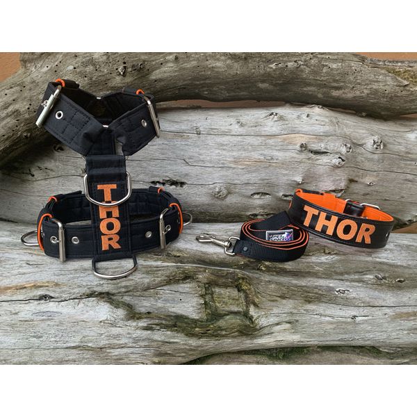 KIT PEITORAL PERSONALIZADO POLIÉSTER COMUM, COLEIRA PERSONALIZADA COURO SINTÉTICO E GUIA DE PASSEIO preto e laranja