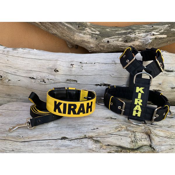 KIT PEITORAL PERSONALIZADO POLIÉSTER COMUM, COLEIRA PERSONALIZADA COURO SINTÉTICO E GUIA DE PASSEIO preto e amarelo