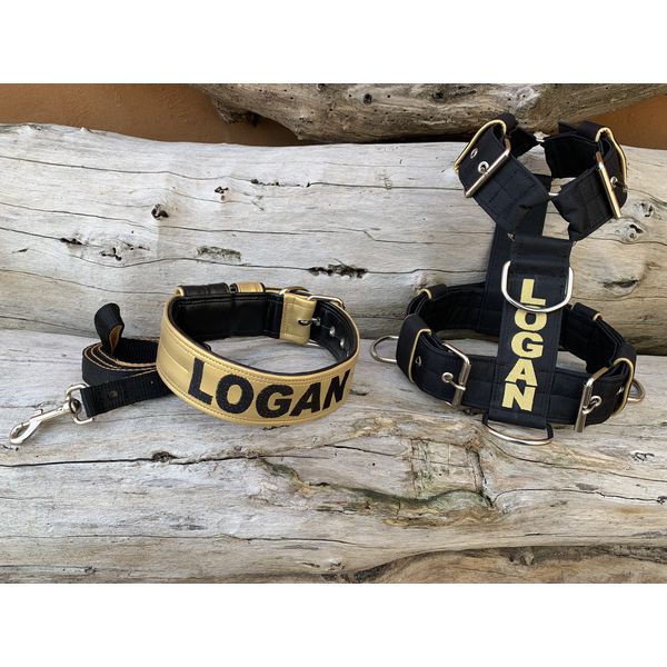 KIT PEITORAL PERSONALIZADO POLIÉSTER COMUM, COLEIRA PERSONALIZADA COURO SINTÉTICO E GUIA DE PASSEIO preto e dourado