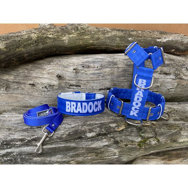 KIT PEITORAL PERSONALIZADO POLIÉSTER COMUM, COLEIRA PERSONALIZADA COURO SINTÉTICO E GUIA DE PASSEIO azul e branco