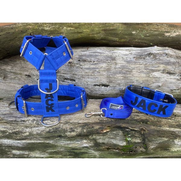 KIT PEITORAL PERSONALIZADO POLIÉSTER COMUM, COLEIRA PERSONALIZADA COURO SINTÉTICO E GUIA DE PASSEIO azul e preto