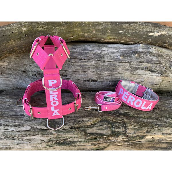 KIT PEITORAL PERSONALIZADO POLIÉSTER COMUM, COLEIRA PERSONALIZADA COURO SINTÉTICO E GUIA DE PASSEIO rosa e prata