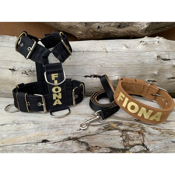KIT PEITORAL PERSONALIZADO POLIÉSTER COMUM, COLEIRA PERSONALIZADA CAMURÇA E GUIA DE PASSEIO preto e dourado