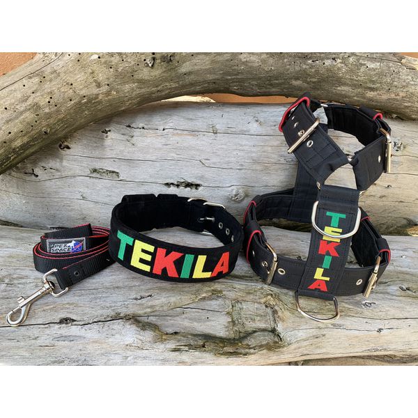 KIT PEITORAL PERSONALIZADO POLIÉSTER COMUM, COLEIRA PERSONALIZADA CAMURÇA E GUIA DE PASSEIO preto e reggae