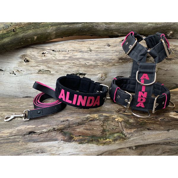 KIT PEITORAL PERSONALIZADO POLIÉSTER COMUM, COLEIRA PERSONALIZADA CAMURÇA E GUIA DE PASSEIO preto e rosa