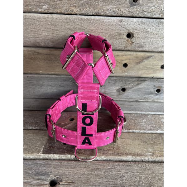 Peitoral universal personalizado poliéster premium rosa com nome em preto