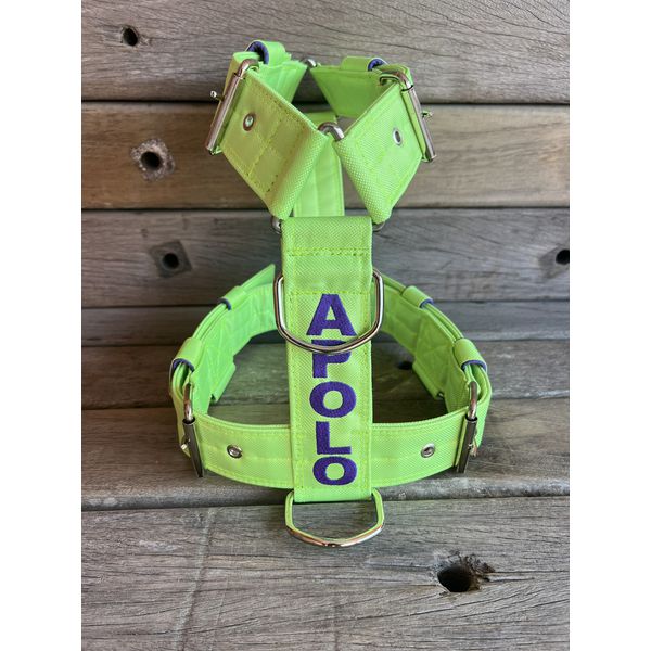 Peitoral universal personalizado poliéster premium amarelo flúor com nome em roxo