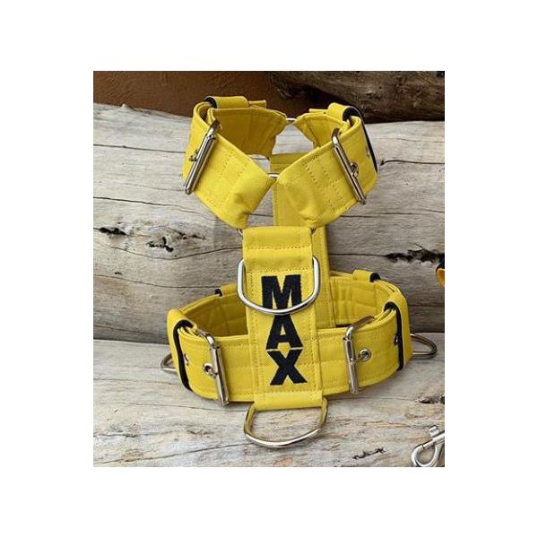 Peitoral universal personalizado poliéster comum amarelo com nome em preto