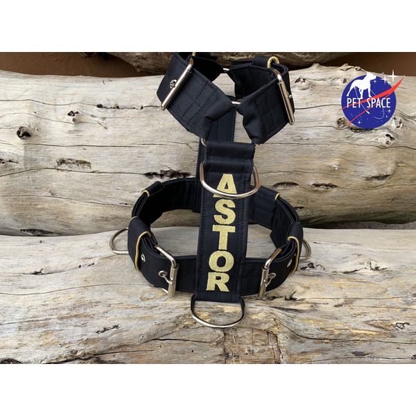 Peitoral universal personalizado poliéster comum preto com nome em dourado