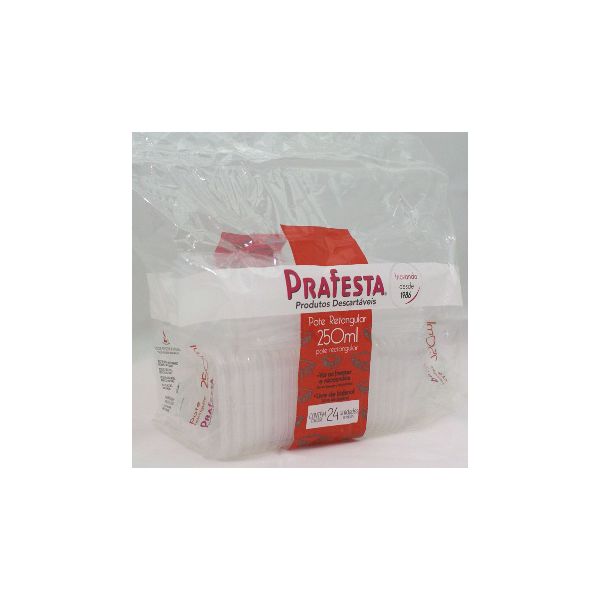Pote Plástico PP Retangular Prafesta com Tampa 250ml c/24 und