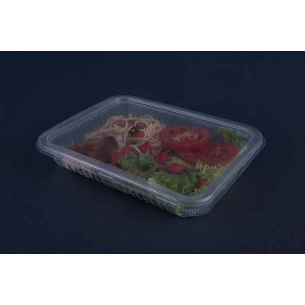 Pote Plástico PP Retangular Cristal Freezer e Microondas Galvanotek Ref. G301 com Tampa 1000ml c/100 und