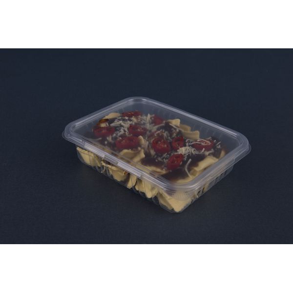 Pote Plástico PP Retangular Cristal Freezer e Microondas Galvanotek Ref. G302 com Tampa 700ml c/10 und