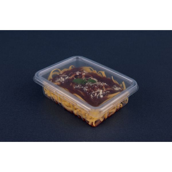 Pote Plástico PP Retangular Cristal Freezer e Microondas Galvanotek Ref. G306 com Tampa 500ml c/10 und
