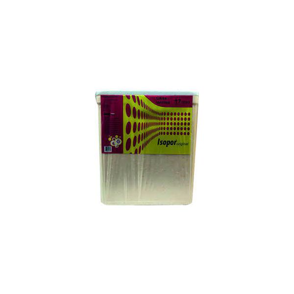 Caixa de EPS (Isopor) Lazer 17L c/6 und