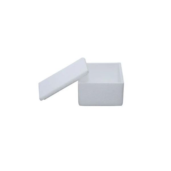 Caixa de EPS (Isopor) Sorvete 0,8L c/50 und