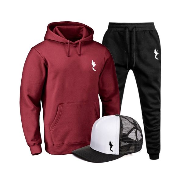 Kit Conjunto Blusa Moletom Ganguru Polo Arara Pequena Agasalho Outono Inverno Flanelado E Bone