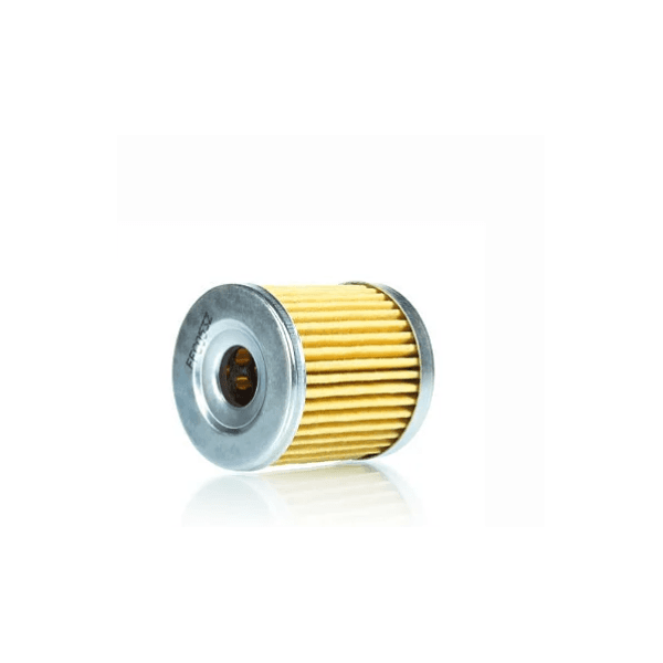 FILTRO DE OLEO DAFRA NEXT 250 