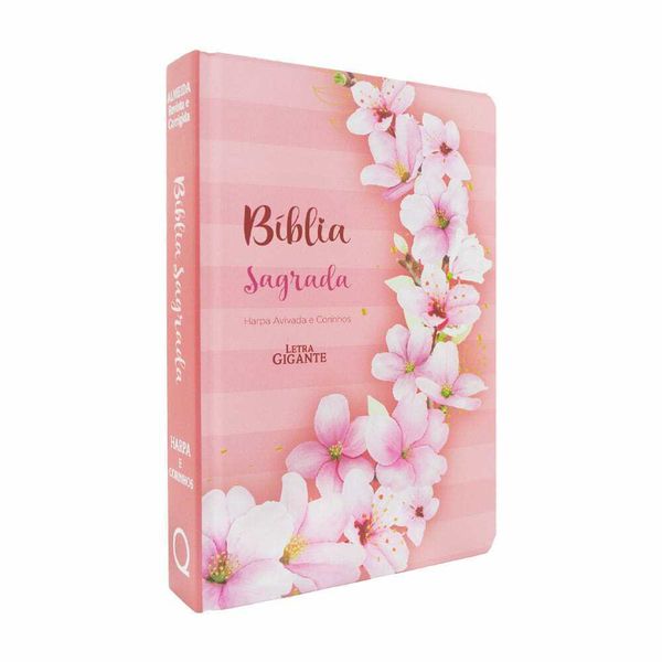 Biblia Sagrada Ramos Flores