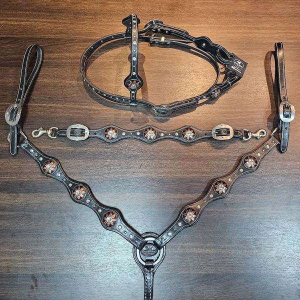 Conjunto Cabeçada Peiteira Levantador Couro Preto Com Strass Cristal & Cravinhos Cod.8562 - Boots Horse