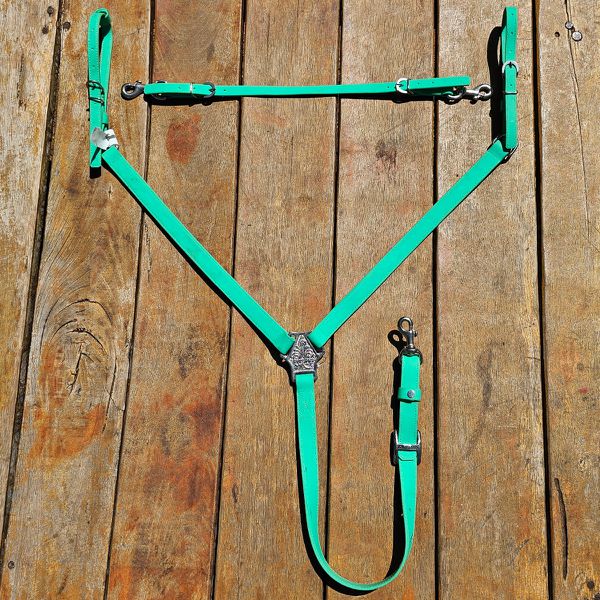 Conjunto Peiteira e Levantador de Silicone - Boots Horse - Verde Água 