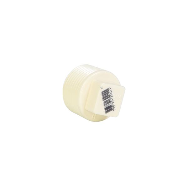 PLUG ROSCÁVEL 1'' 0295 KRONA