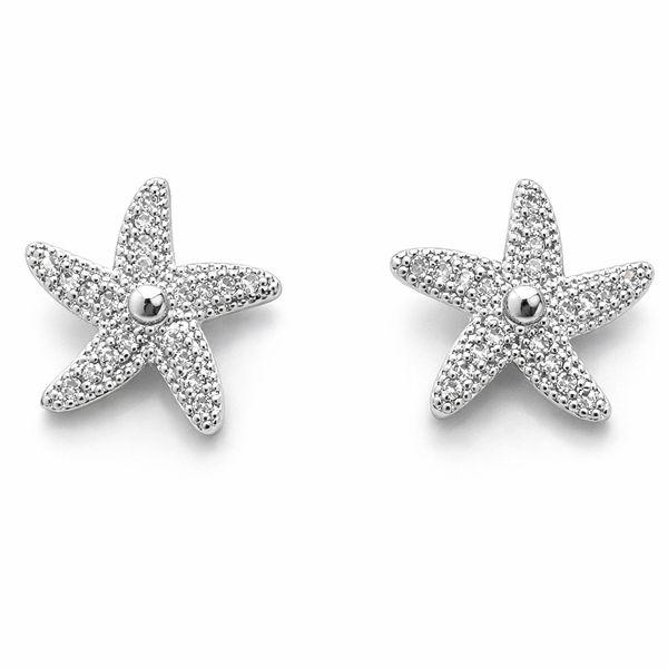 Brinco Estrela do Mar Cravejado Banhado a Prata 925