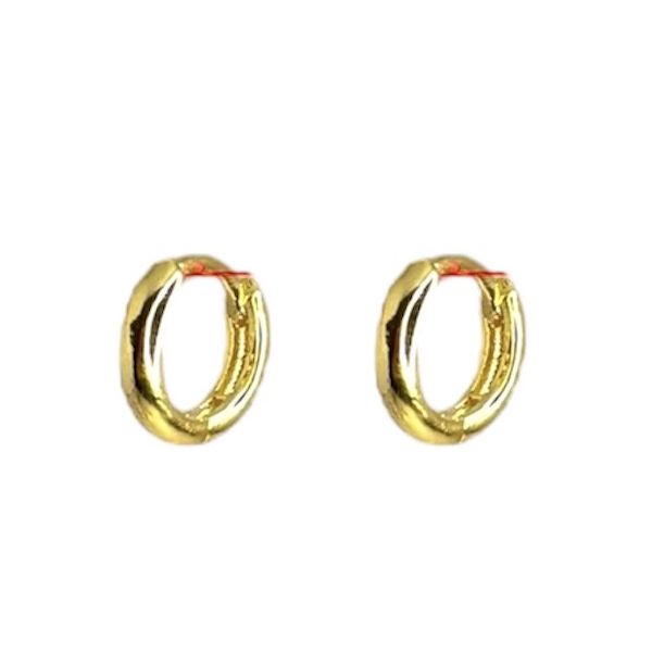 Brinco Argola Lisa Banhado A Ouro 18K