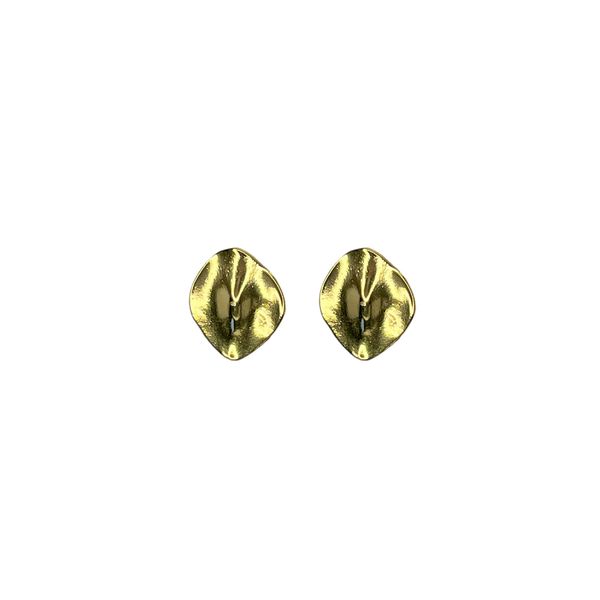 Brinco Chapa Orgânica Banhado A Ouro 18K