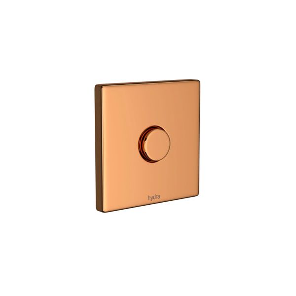 Acabamento Hydra Plus Com Conversor Red Gold Deca