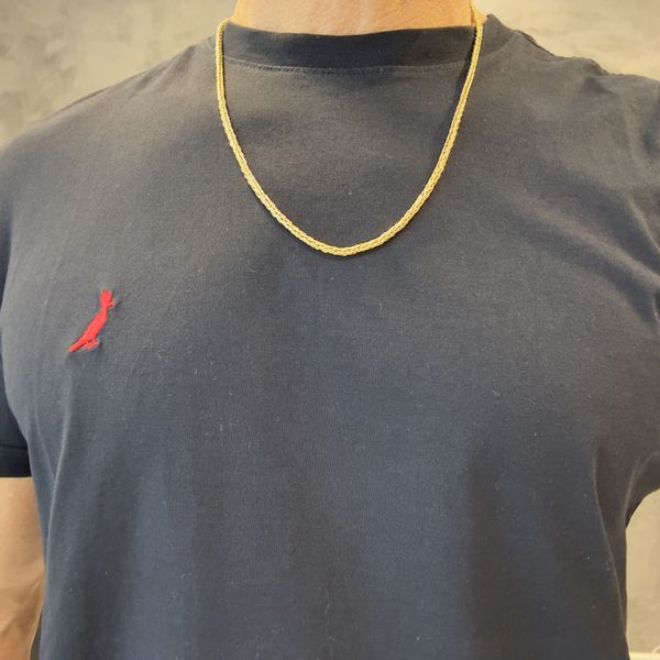 Corrente de Ouro 18k 750 Palmeira com 13,8g 60cm
