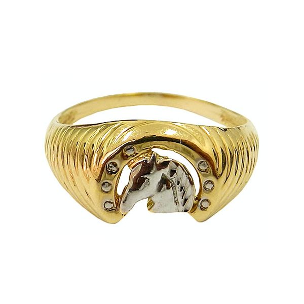 Anel Ferradura em Ouro 18K