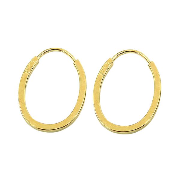 Brinco de Argola Oval em Ouro 18K 