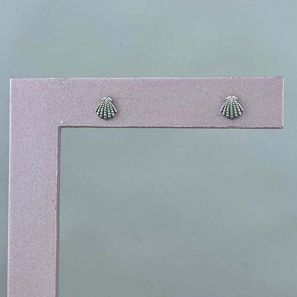 Brinco Prata Legitima 925 Envelhecido Concha Pequena 