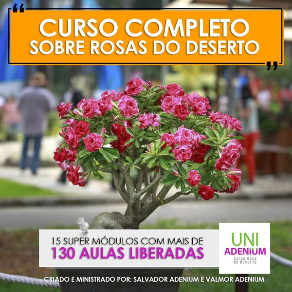 DESCONTO NO CURSO COMPLETO - Sai por R$ 48,00