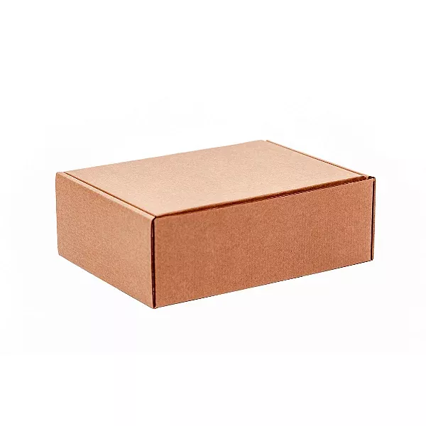 CAIXA ENVIO KRAFT 200X100X50 - 25 UNIDADES - CXE00... - SACO & SACOLA