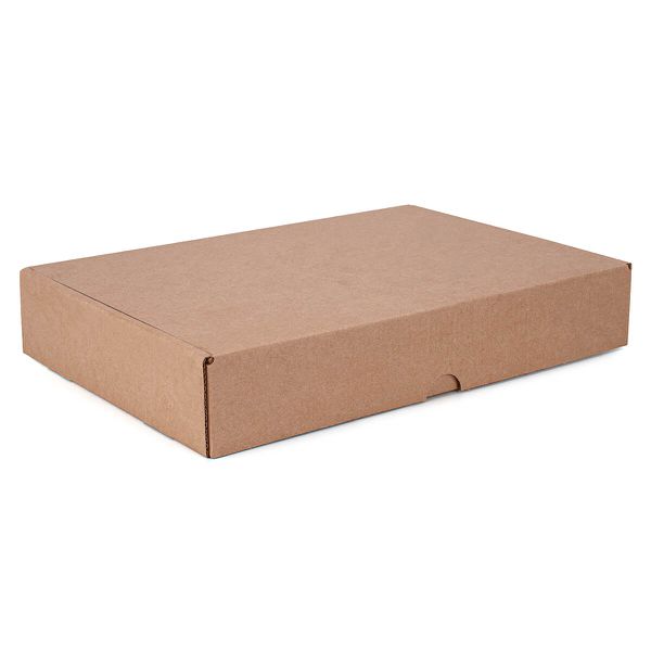 CAIXA ENVIO KRAFT 300X200X50 - 10 UNIDADES - CXE00... - SACO & SACOLA