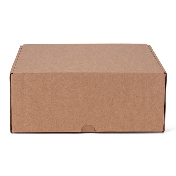 CAIXA ENVIO KRAFT 250X200X100 - 10 UNIDADES - CXE0... - SACO & SACOLA