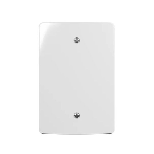 Placa Renova Cega 4X2 Margirius 21297