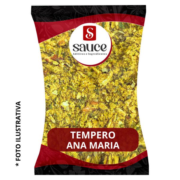 Tempero Ana Maria Premium 500g